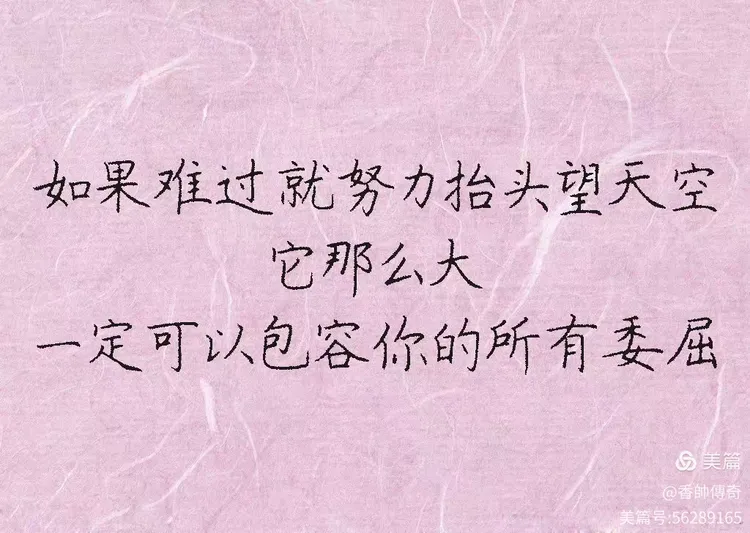 这几句话写得很漂亮